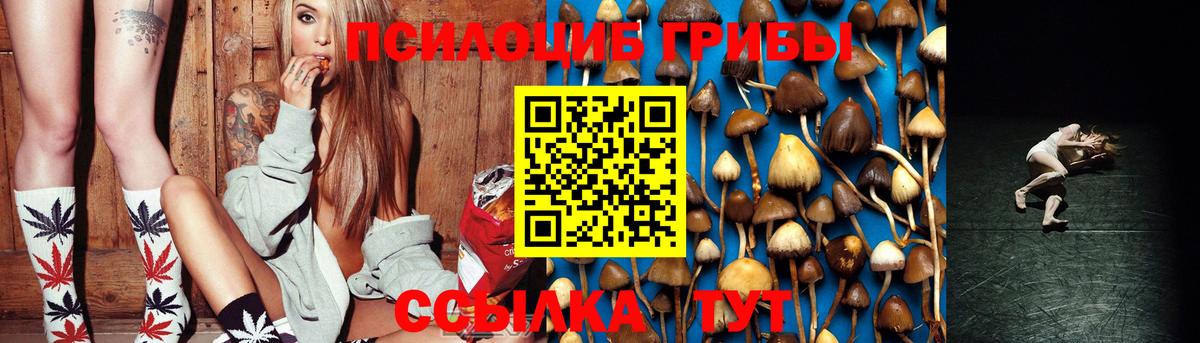 Псилоцибиновые грибы Psilocybine cubensis Зеленогорск