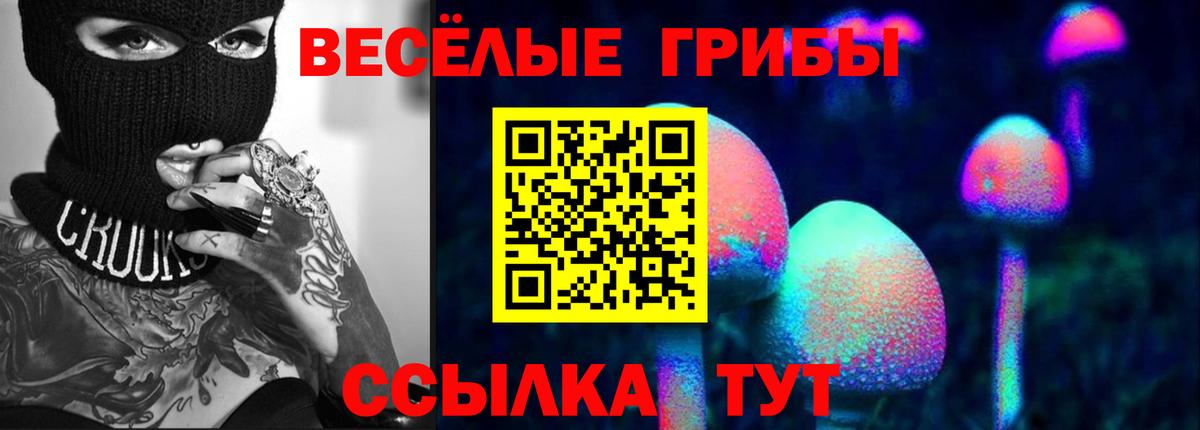 что такое   Галлюциногенные грибы мухоморы  Зеленогорск  Вход с VPN  Галлюциногенные грибы GOLDEN TEACHER 